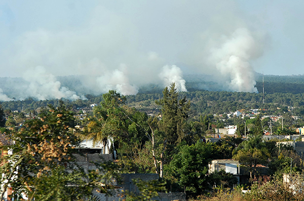 Dificultan elementos naturales combate de incendios forestales