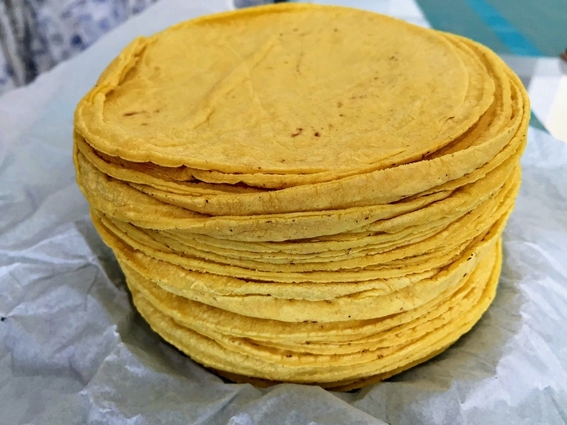 Justifican que Monclova tenga el precio más alto de la tortilla en el país  | Infonor - Diario Digital